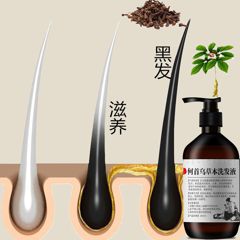 300ml 다각형 멀티 플로럼 샴푸 허브 블랙 샴푸,  - Hair Care Herbal 리뷰 및 가격